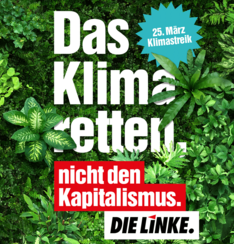 Klimastreik am 25.03.2022